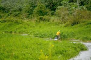 Leia mais sobre o artigo Liminar que permitia atividade de pesca no Pantanal é derrubada na Justiça