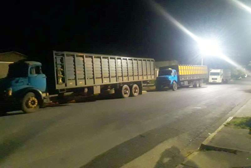 Você está visualizando atualmente PMA apreende três caminhões carregados de gado por suspeita de furto no Pantanal