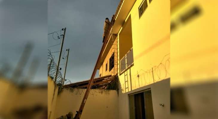 Leia mais sobre o artigo Gato preso em telhado de casa é resgatado pelos bombeiros