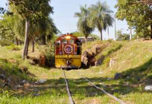 Leia mais sobre o artigo Evander solicita manutenção da malha ferroviária que liga Corumbá a Bauru