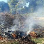 Bombeiros combatem quatro incêndios em vegetação nas últimas 24 horas