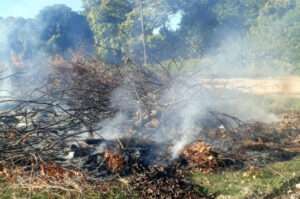 Leia mais sobre o artigo Bombeiros combatem quatro incêndios em vegetação nas últimas 24 horas