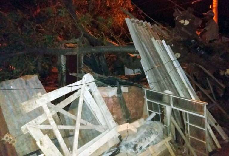 Ventania derruba árvore sobre residência no Centro América