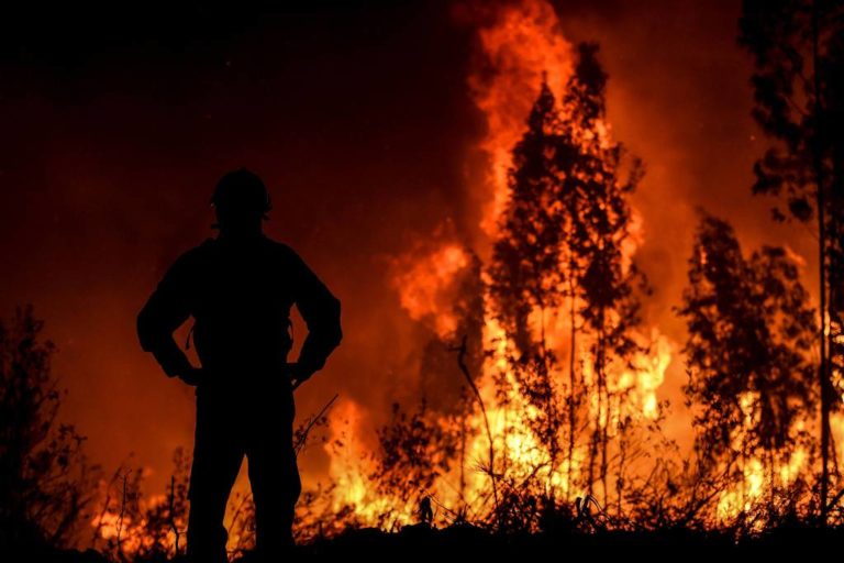 Incêndio florestal atinge Portugal e fere 32 pessoas