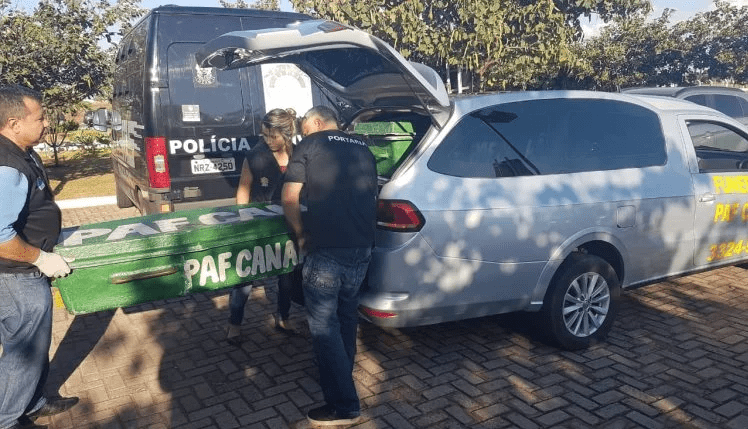 Homem que estrangulou ex é encontrado morto em cela de delegacia