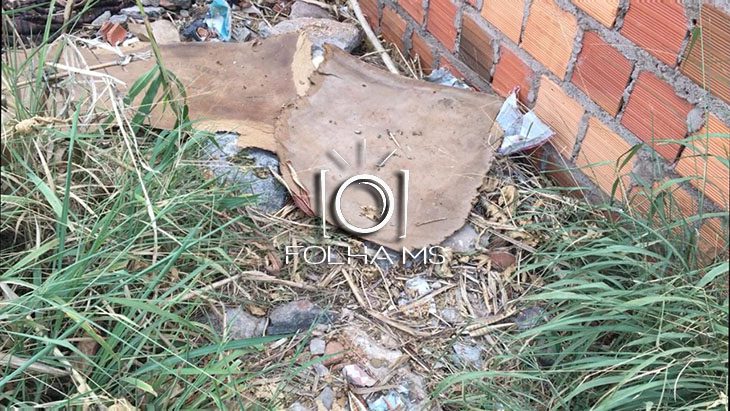 Criança encontra corpo em decomposição no centro de Corumbá 2 corpo decomposicao2