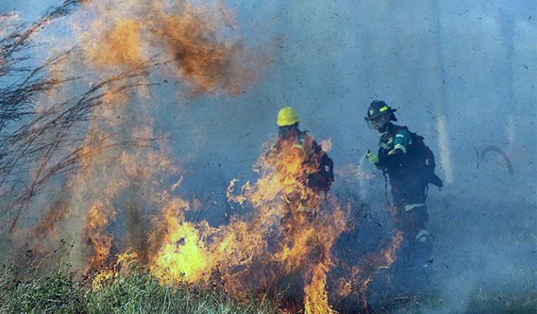 Incêndio destrói 500 mil hectares de vegetação na Bolívia e abala campanha de Evo Morales