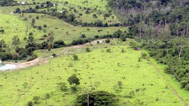 Começa hoje prazo para entrega da declaração de propriedade rural