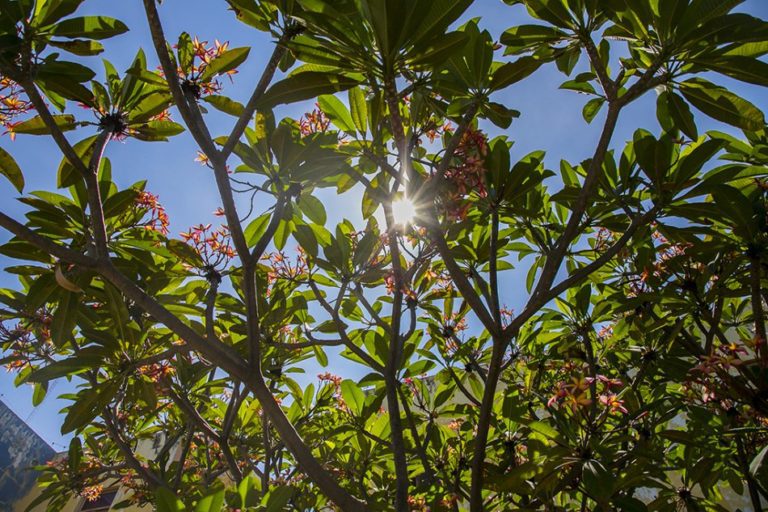 Defesa Civil orienta como amenizar efeitos da baixa umidade do ar