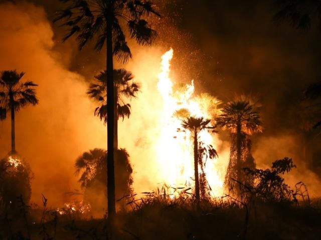 Avião do MT vai ajudar a combater incêndio no Pantanal
