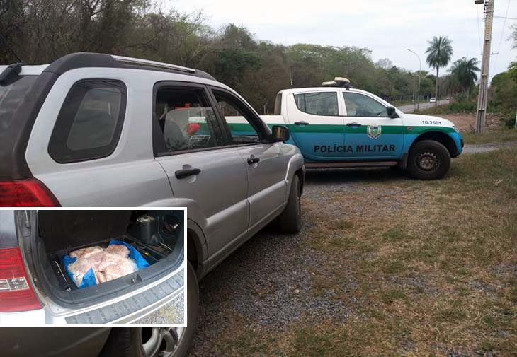 Pescado transportado de forma irregular é apreendido pela PRF na Ramão Gomez