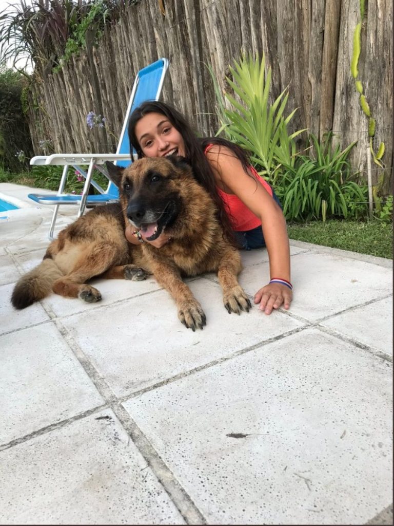 Argentina tira foto com cachorro, toma mordida, leva pontos no rosto e publica imagens em rede social 3 mordida 02