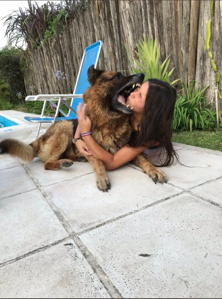Argentina tira foto com cachorro, toma mordida, leva pontos no rosto e publica imagens em rede social 4 mordida 03