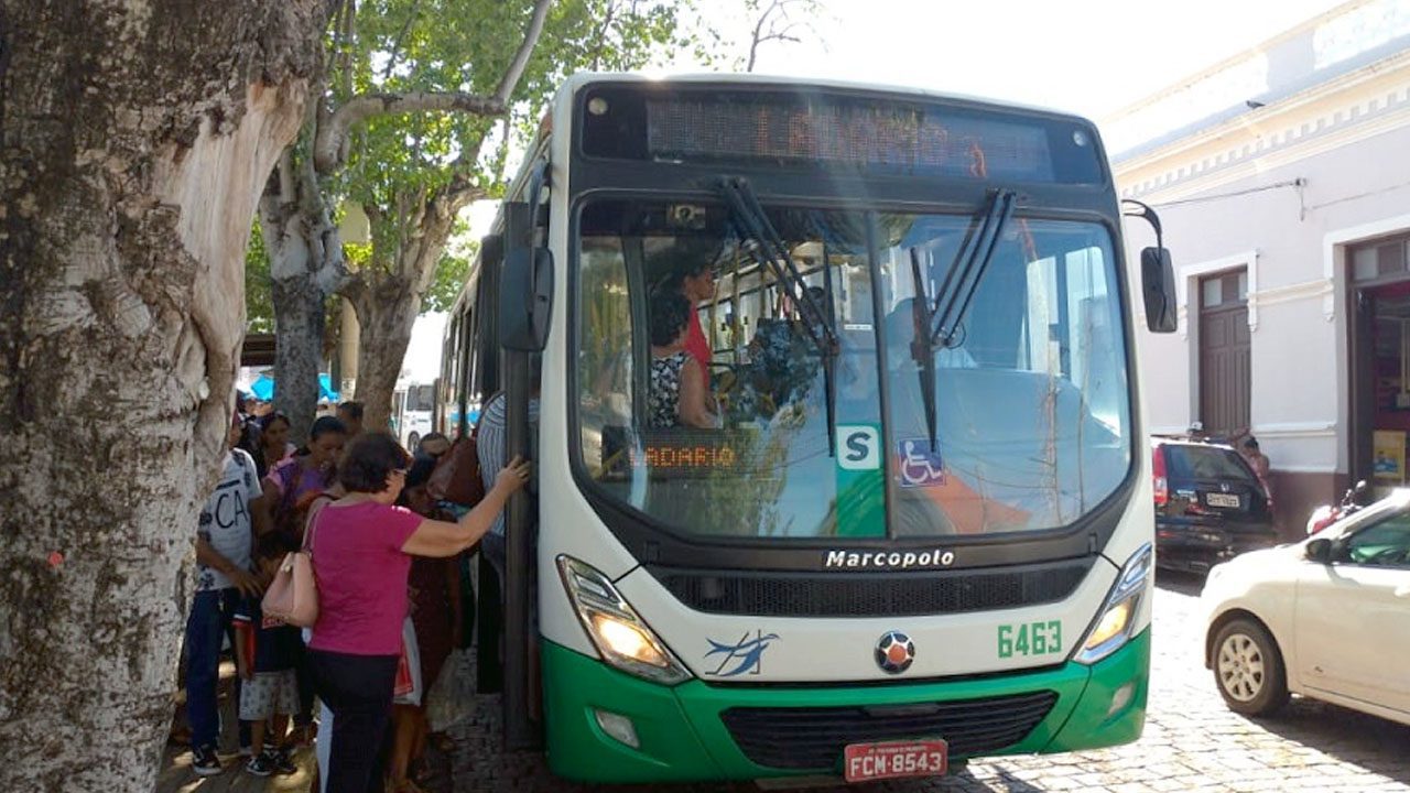 andorinha3