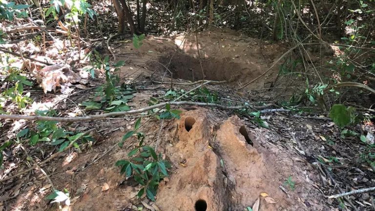 Criança morta pela mãe em MS, foi abusada no dia das crianças pelo padrasto