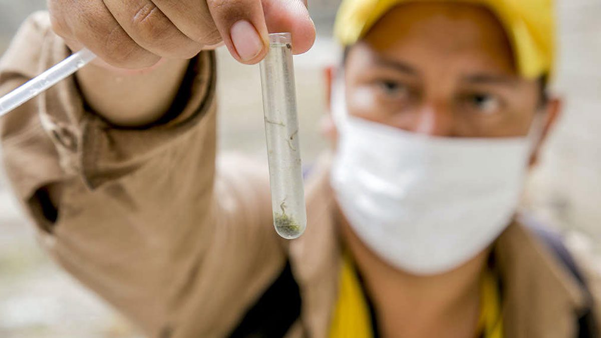 combate a dengue
