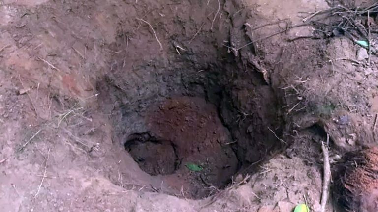 Morta pela mãe, menina de 10 anos foi enterrada viva e implorou socorro