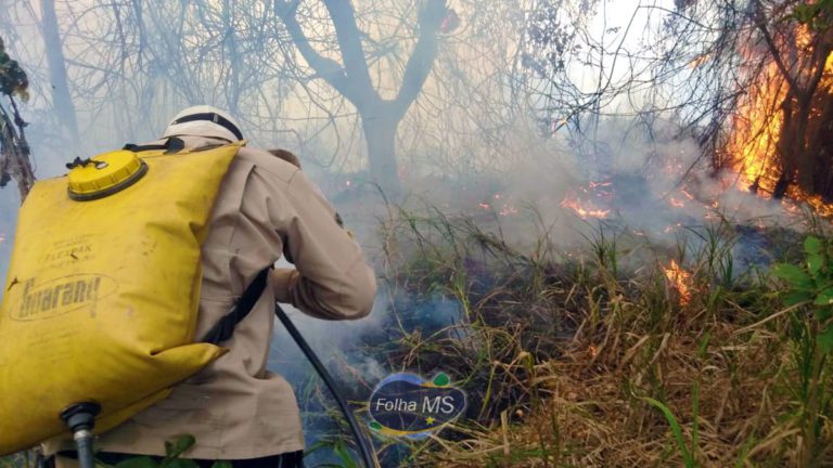 Imagens aéreas mostram avanço de queimadas sobre o Pantanal