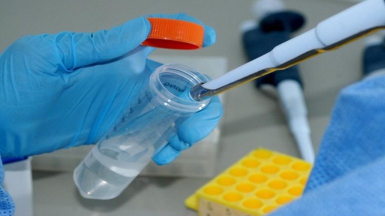 Coronavírus: 12 municípios de MS recebem cloroquina para tratamento de casos mais graves