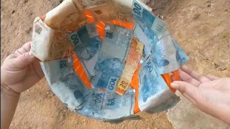 Boi engole R$ 1,5 mil e dono abate animal para recuperar dinheiro no Sul do Piauí