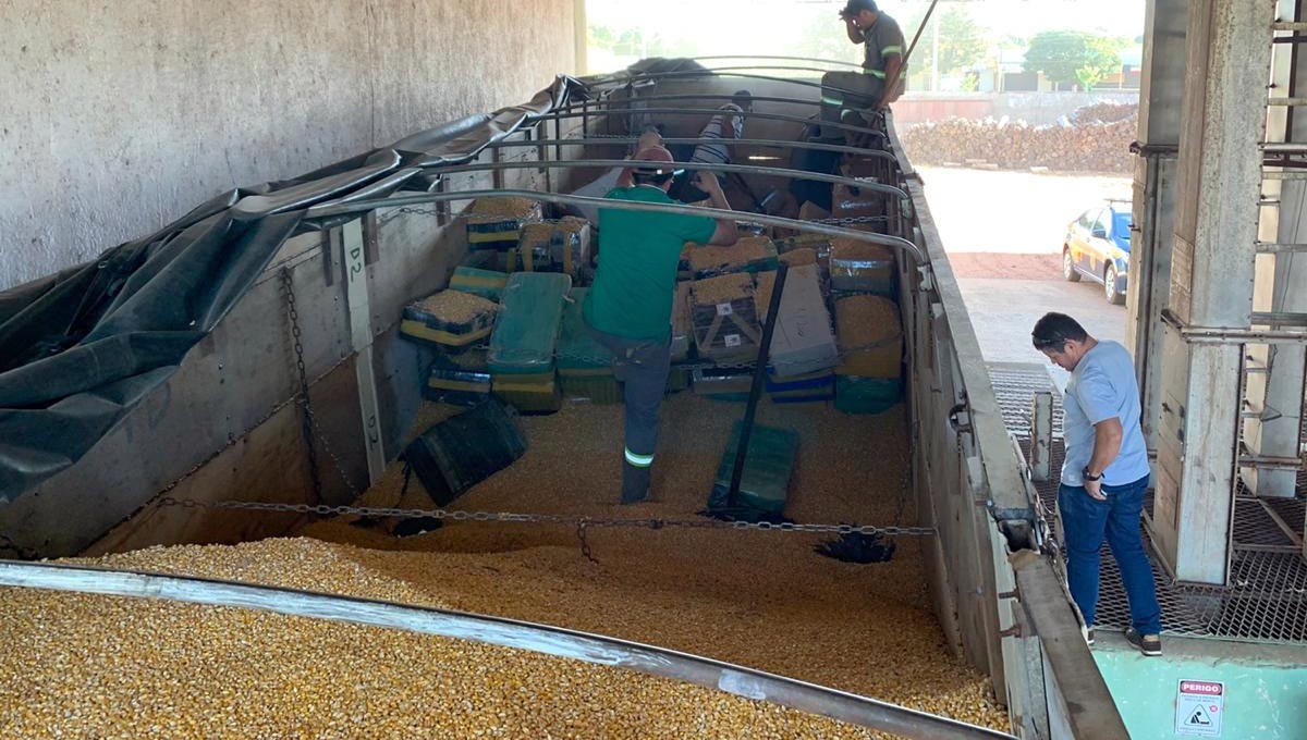 Você está visualizando atualmente PF e PRF apreendem mais de 4 toneladas de maconha em carga de milho na fronteira