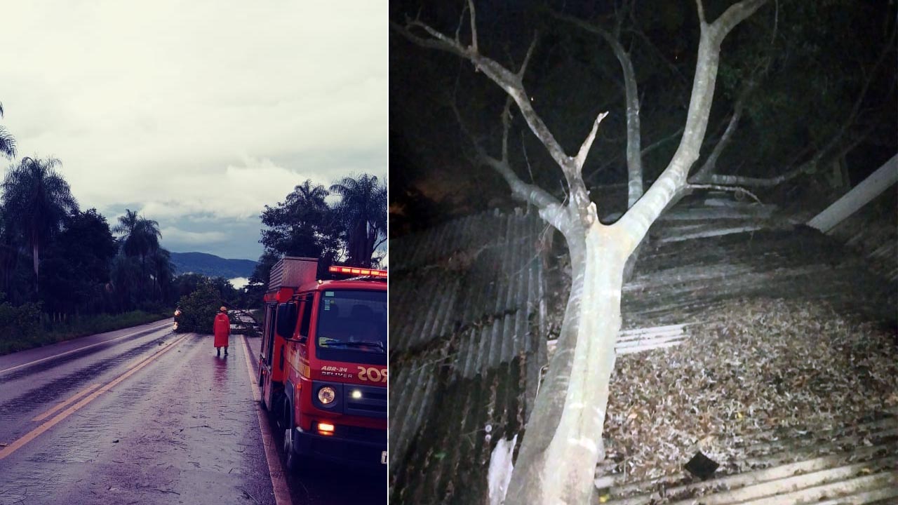 Você está visualizando atualmente Queda de árvores fecham vias e causam danos em duas casas em Corumbá