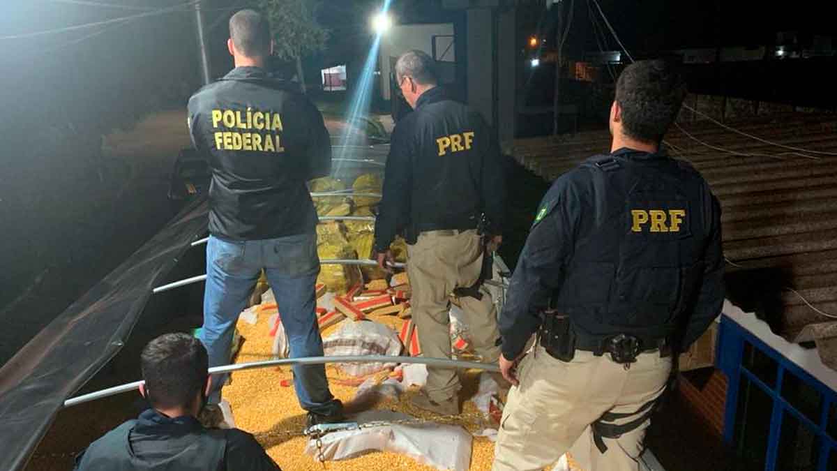 PRF e PF fazem maior apreensão de maconha na história do Brasil