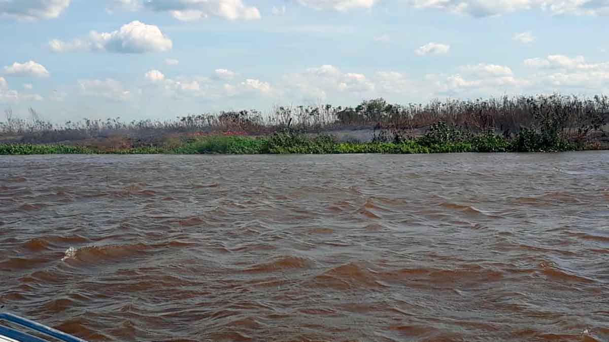 Leia mais sobre o artigo PMA flagra dupla ateando fogo em vegetação no Pantanal