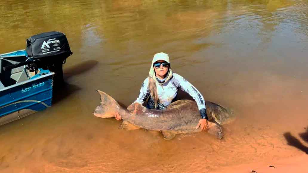 Dentista fisga jaú de 80 kg e 2 metros em rio de Mato Grosso do Sul