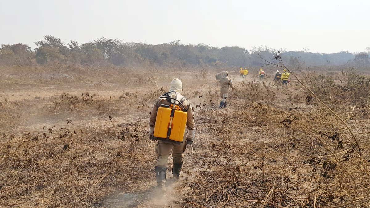 Leia mais sobre o artigo Queimadas castigam Pantanal e focos de calor quase dobram no mês de julho