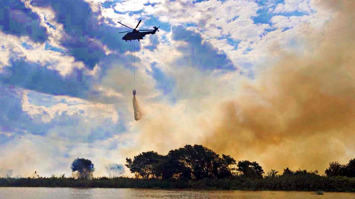 Leia mais sobre o artigo Aeronaves já utilizaram mais de 50 mil litros de água para combate aos incêndios no Pantanal