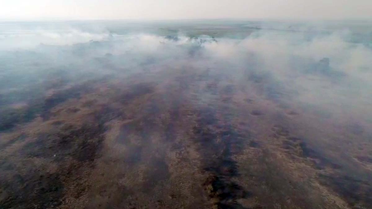 Leia mais sobre o artigo Incêndio florestal mobiliza equipes do Corpo de Bombeiros na região do Itajiloma em Corumbá