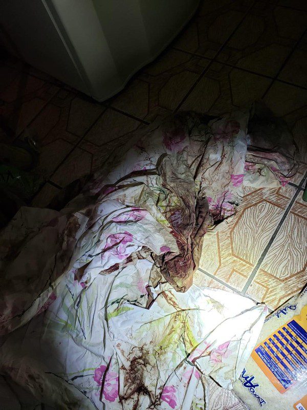 Vizinho de muro matou Carla, deixou corpo debaixo da cama e diz ter perdido a memória, fala delegado 2 whatsapp image 2020 07 14 at 22.12.42