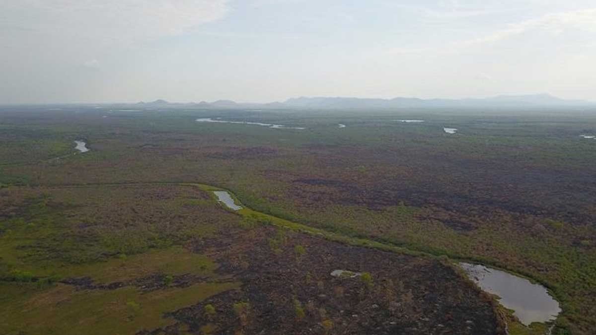 Você está visualizando atualmente Chuva ajuda a controlar incêndios no Pantanal, mas equipes continuam alertas