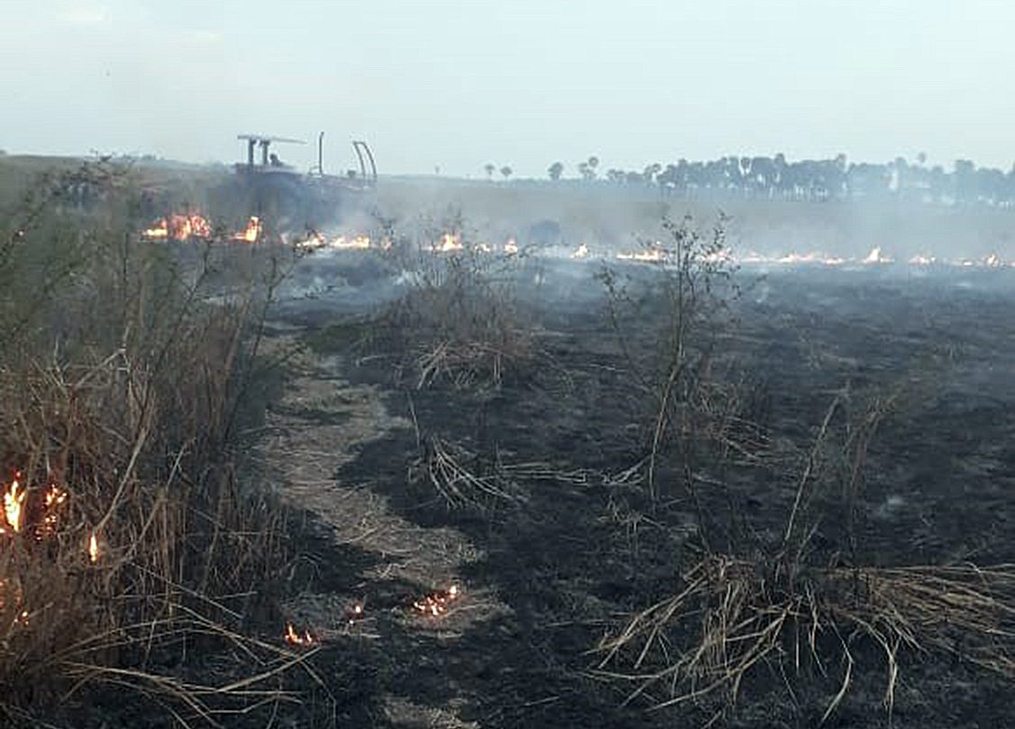 Bombeiros combatem incêndios no Pantanal do Nabileque 2 fogo faz nabileque2