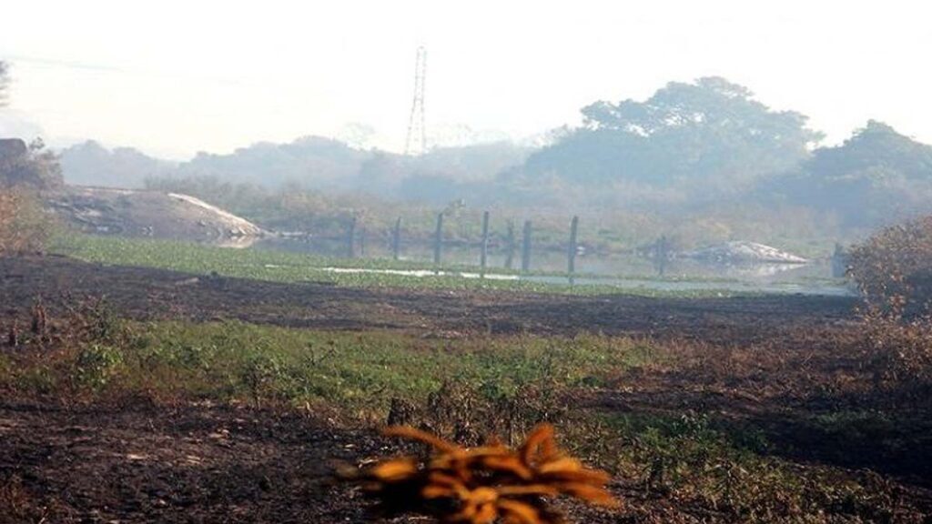 Destruídas pelas queimadas no Pantanal, pontes de madeira serão reativadas em 4 meses 4 ponte1