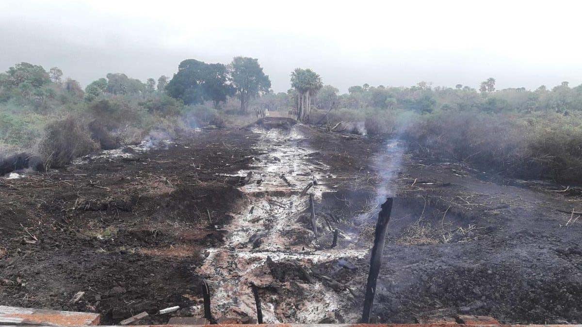 Leia mais sobre o artigo Destruídas pelas queimadas no Pantanal, pontes de madeira serão reativadas em 4 meses