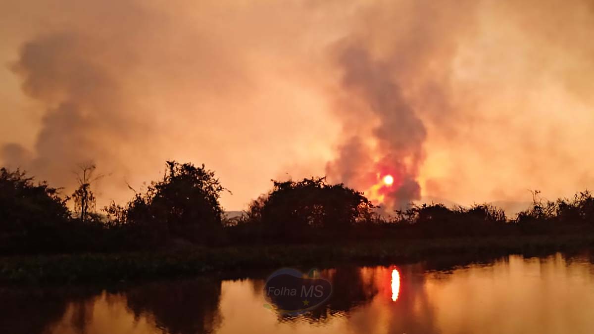 queimadas pantanal3