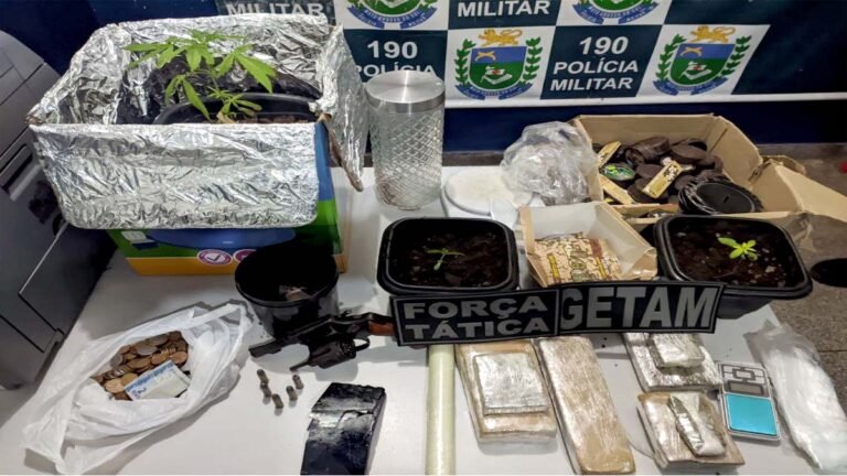 Casal é preso com entorpecentes, revólver e até “pés de maconha” em casa no Jardim dos Estados