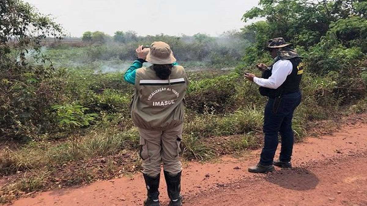 Você está visualizando atualmente PMA aguarda conclusão de laudos para autuar fazendas por crime ambiental no Pantanal
