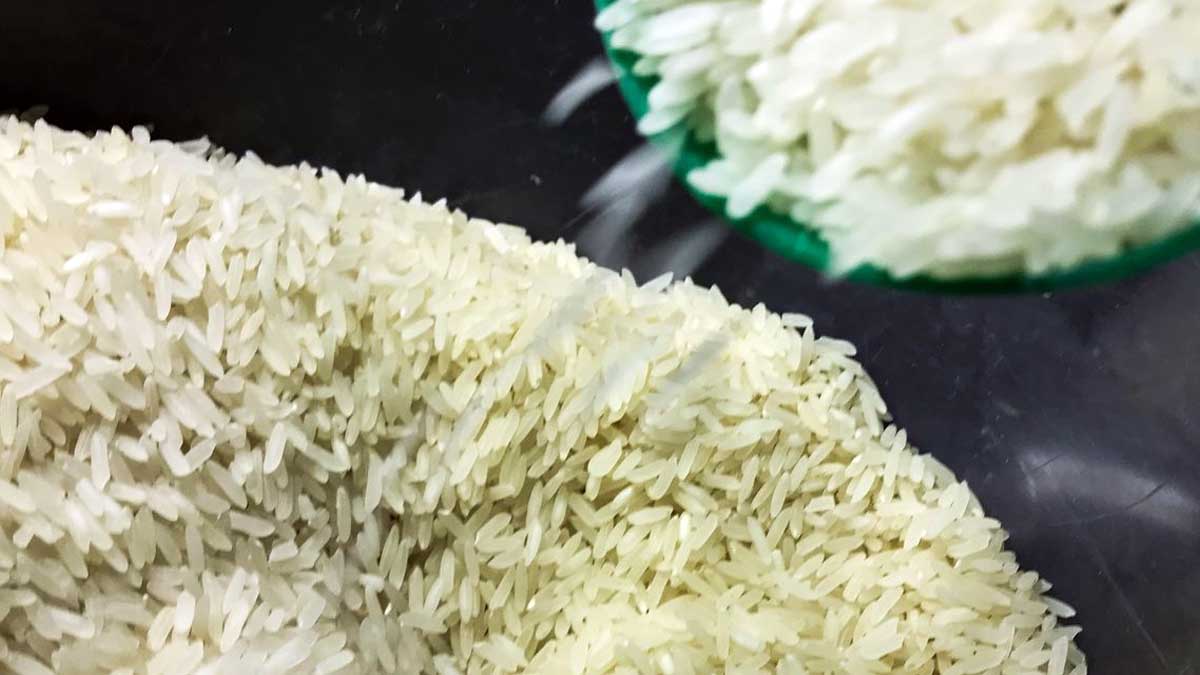 Você está visualizando atualmente Governo define critérios para cota de importação de arroz