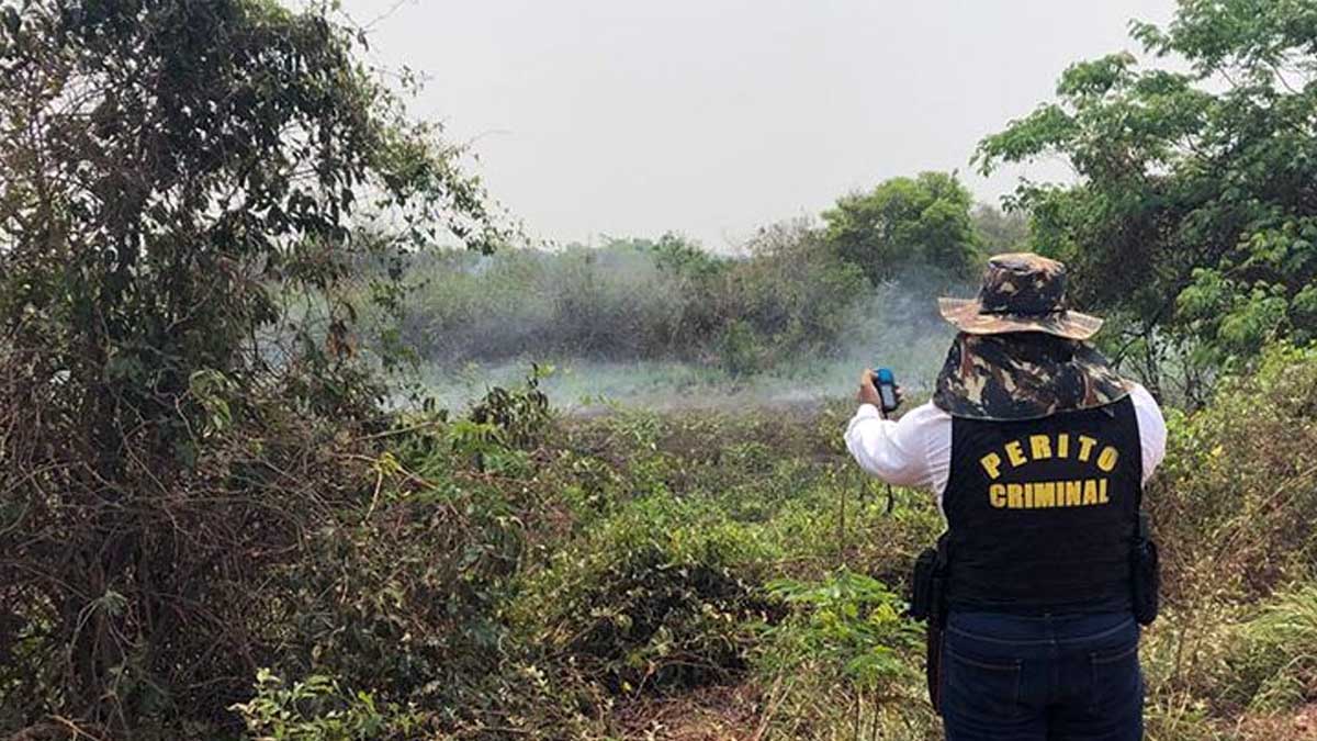 Você está visualizando atualmente Operação Focus inicia investigação para apurar origem das queimadas no Pantanal
