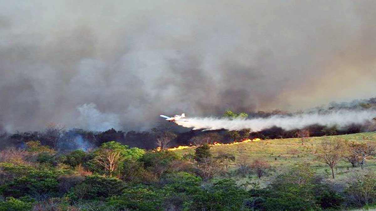 Você está visualizando atualmente Governo intensifica combate às queimadas na região do Taquari