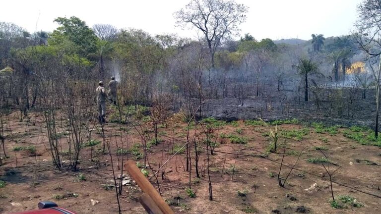 Bombeiros combatem incêndios em terrenos no Cristo Redentor e Nova Corumbá