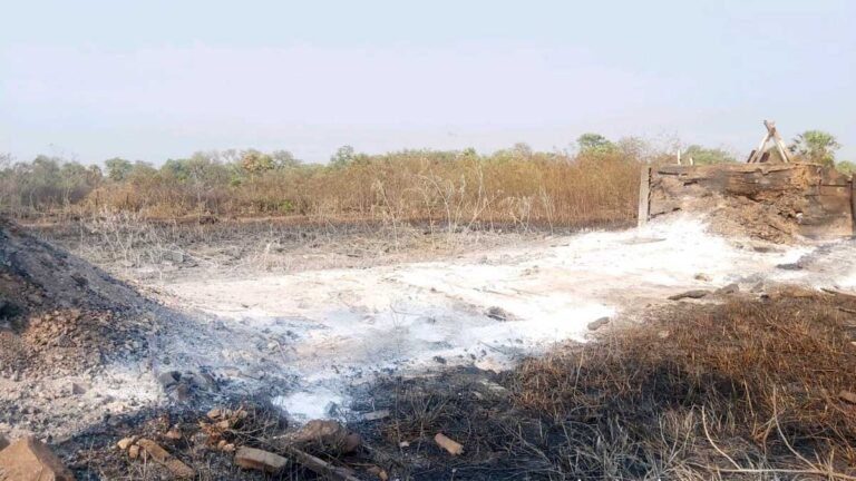 Oito pontes já foram destruídas pelas queimadas no Pantanal