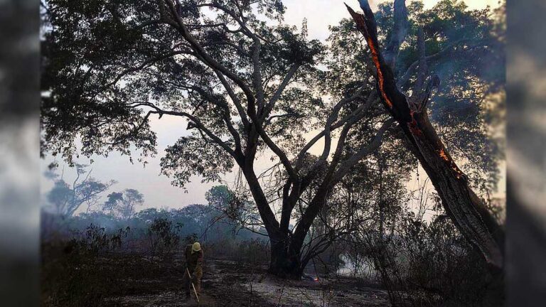 Bombeiros combatem incêndios no Porto da Manga, Baía Negra e Codrasa