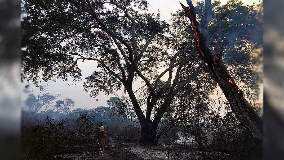 Leia mais sobre o artigo Bombeiros combatem incêndios no Porto da Manga, Baía Negra e Codrasa