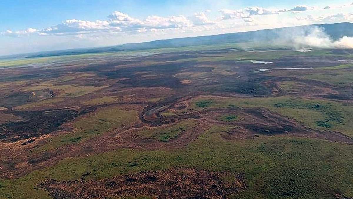 Leia mais sobre o artigo Com chuva abaixo da média, Pantanal de MS tem risco altíssimo para incêndios florestais