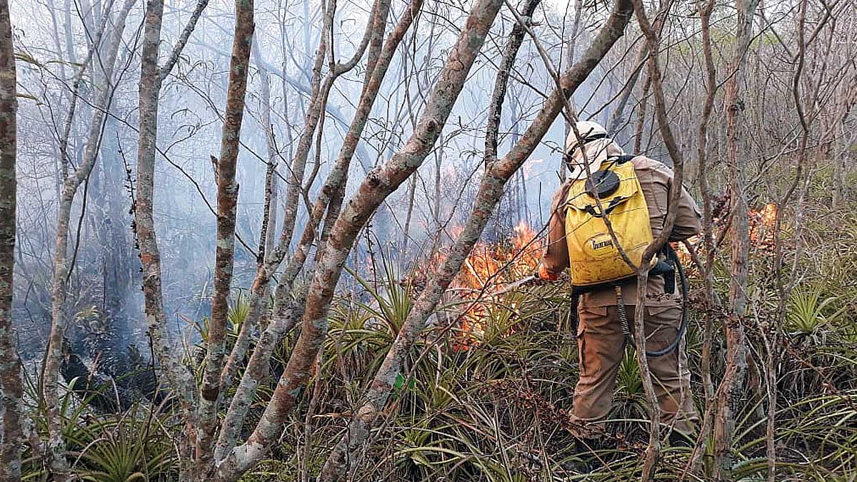 Leia mais sobre o artigo Força-Tarefa segue com enfrentamento das queimadas no Pantanal da Nhecolândia