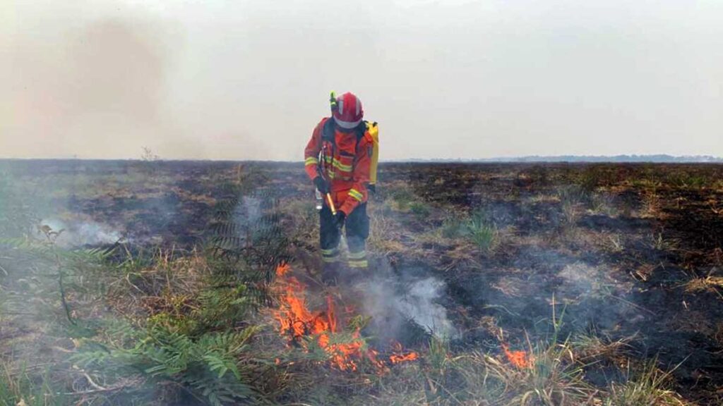 Força-Tarefa mantém trabalhos de combate a focos de incêndios no Pantanal de Corumbá 2 queimadas pantanal